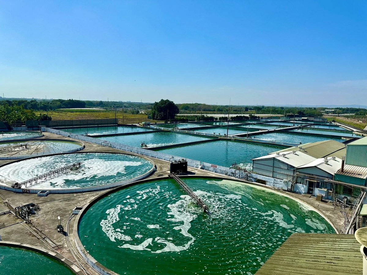 Organic Spirulina & Chlorella: Sourcing, Processing & Testing | On Target Living