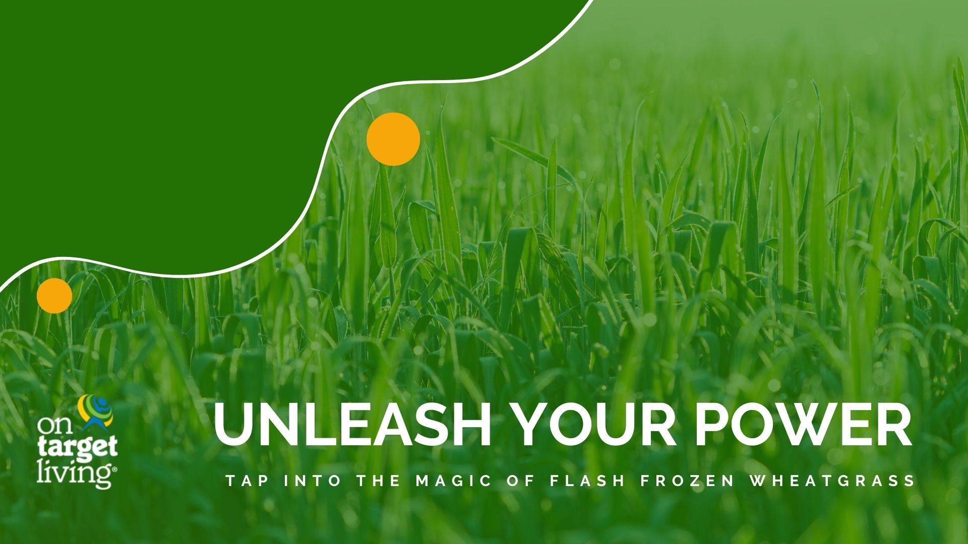 Unleash Your Power With Flash Frozen Wheatgrass