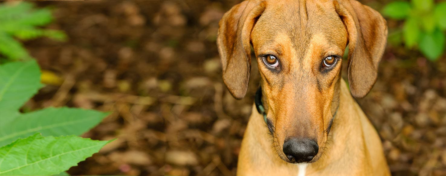 Feeling Guilty for Taking Time for YOU?