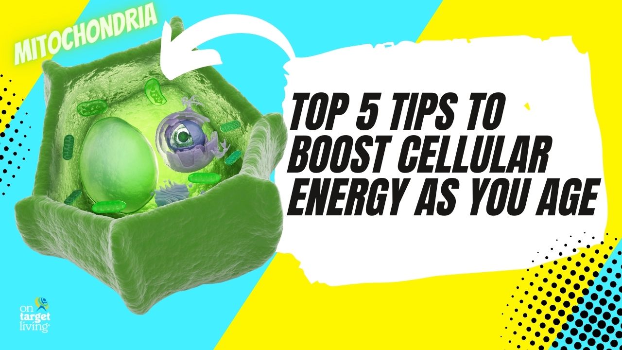 Stay Energized and Youthful as You Age: 5 Tips to Defeat Fatigue and Power Up Your Mitochondria
