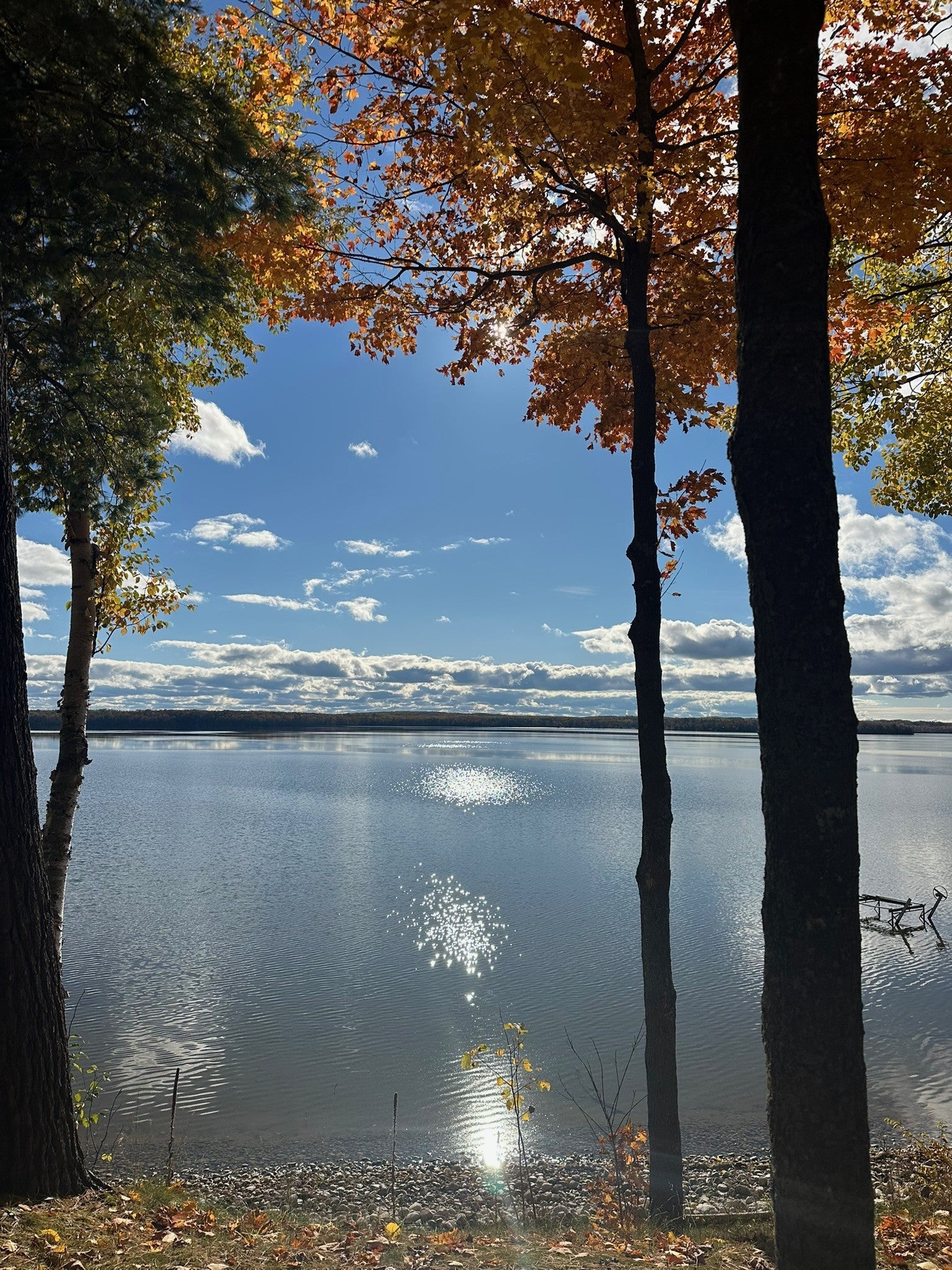 OTL Wellness & Recovery Retreat on Douglas Lake